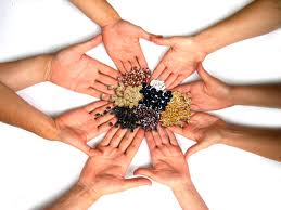 seeds of diversity hands to feed us