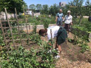 legs community environmental gardening society volunteers at work