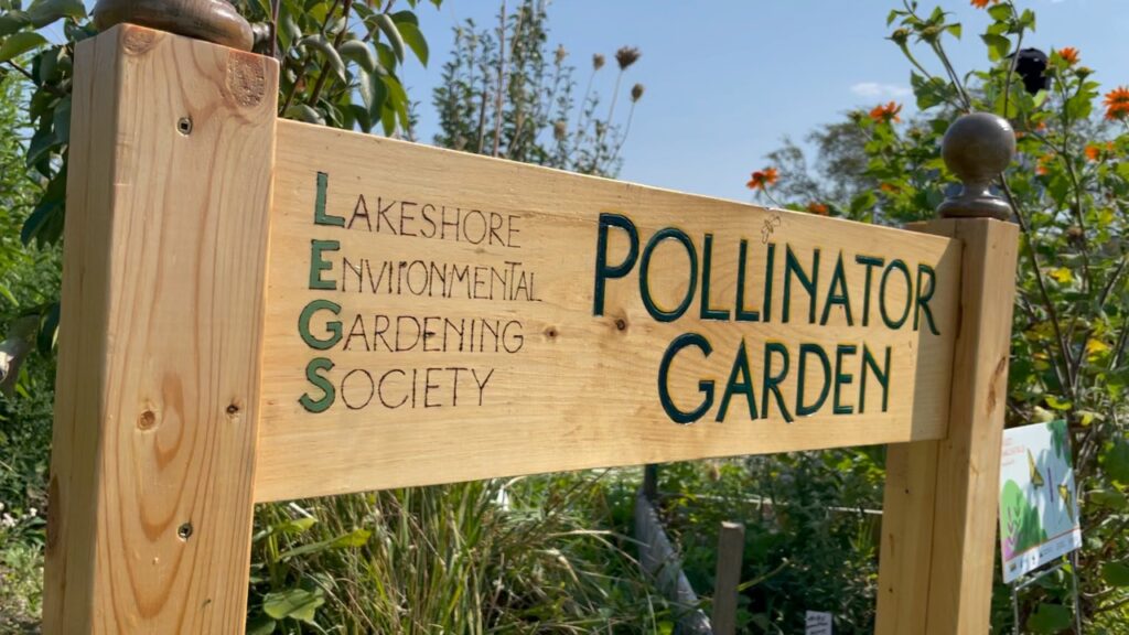 our LEGS sign in the Pollinator Path Garden